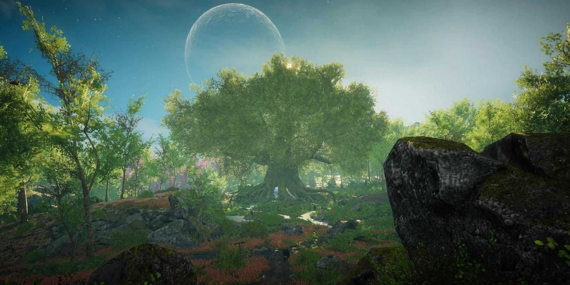 moon and forest in Eastshade