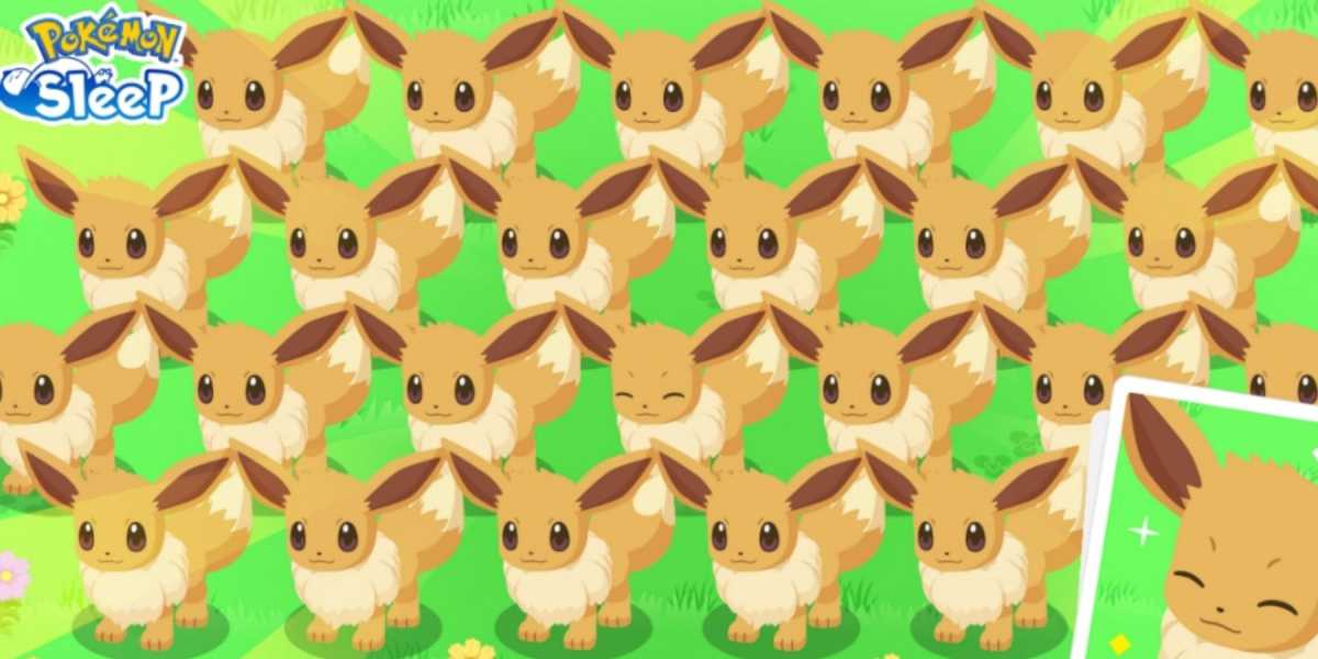 Semana Pokemon Sleep Eevee: Como Conseguir Eevee Brilhante nas Melhores Condições