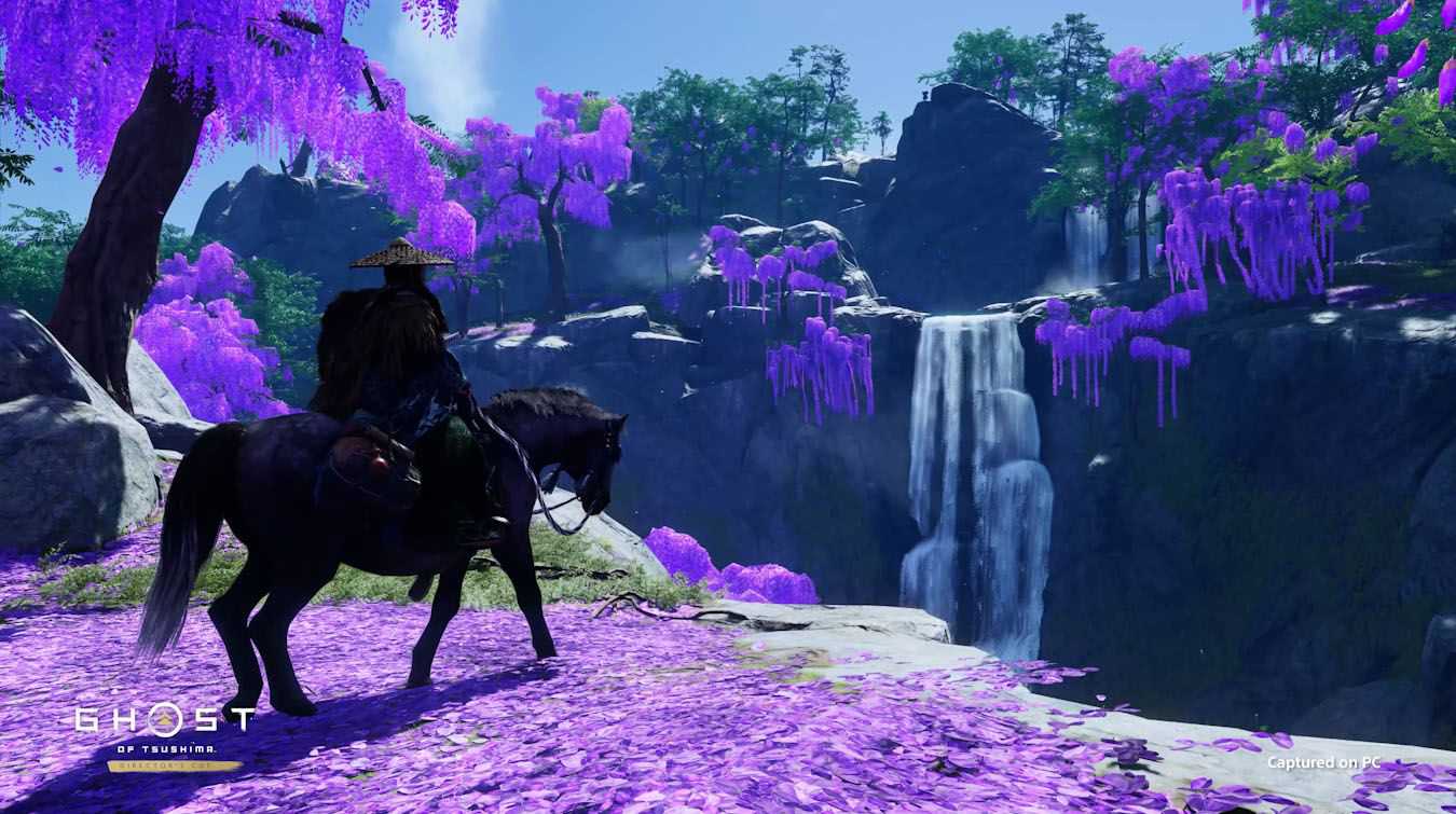 A screenshot of Jin Sakai riding his horse to a cliff covered in purple flowers in Ghost of Tsushima.