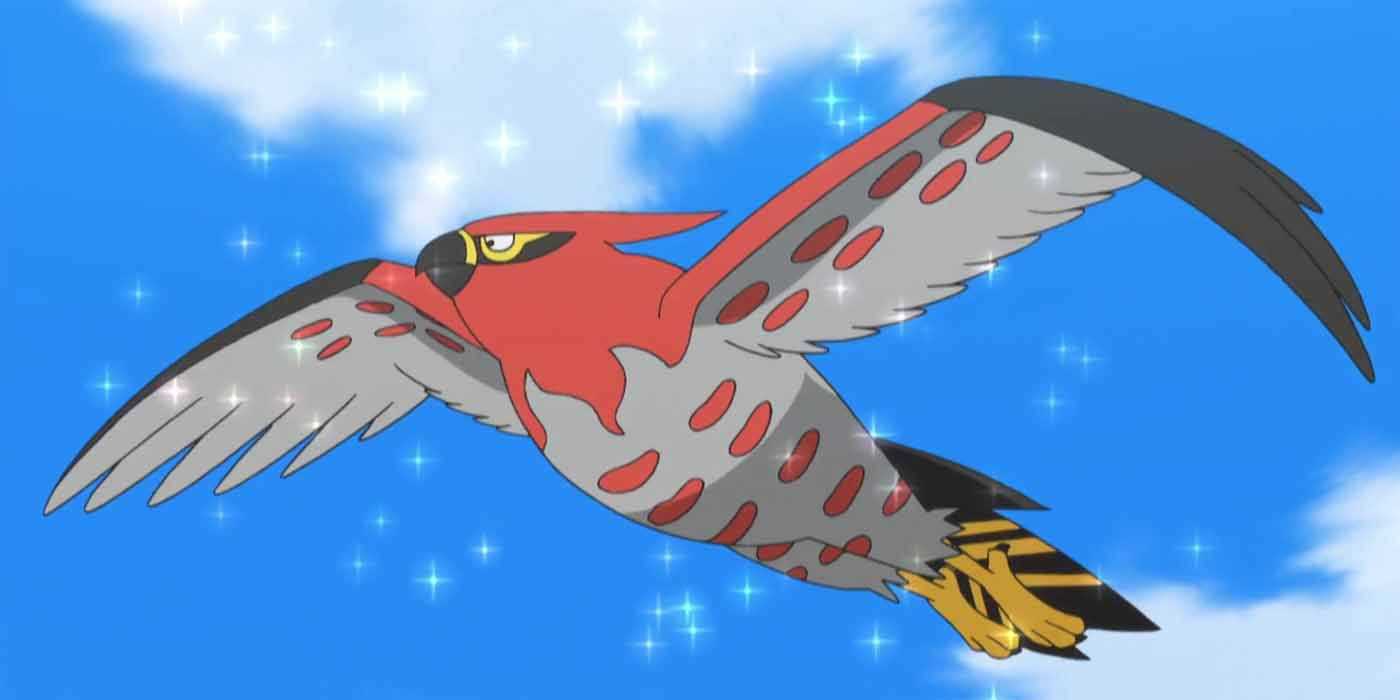 Talonflame voando em Pokemon