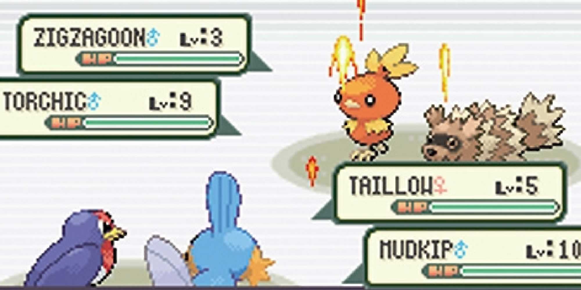 A Taillow and Mudkip double battling a Torchic and Zigzagoon