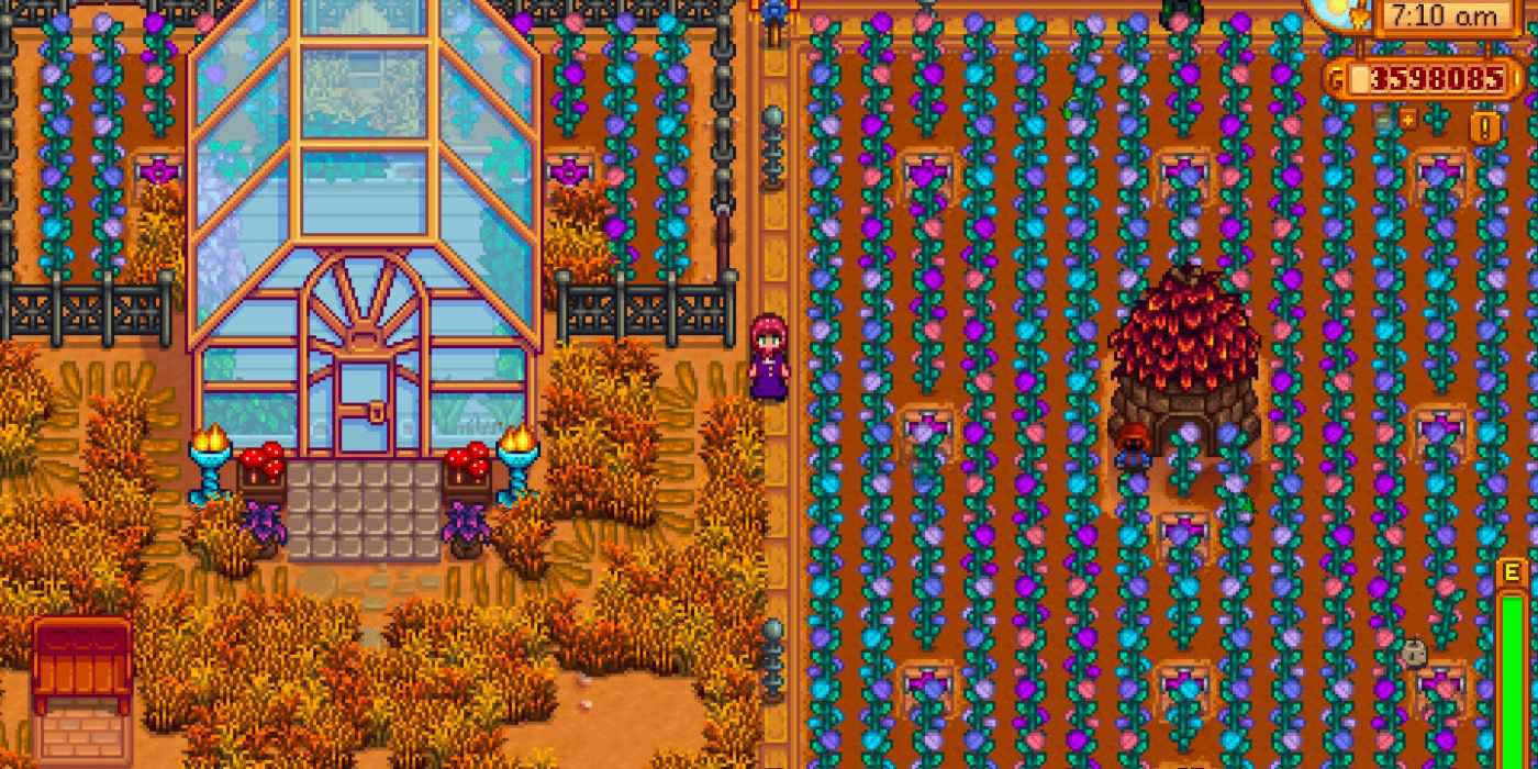 Stardew Valley Fair Rose Farm flores pastel multicoloridas ao lado da estufa na colina