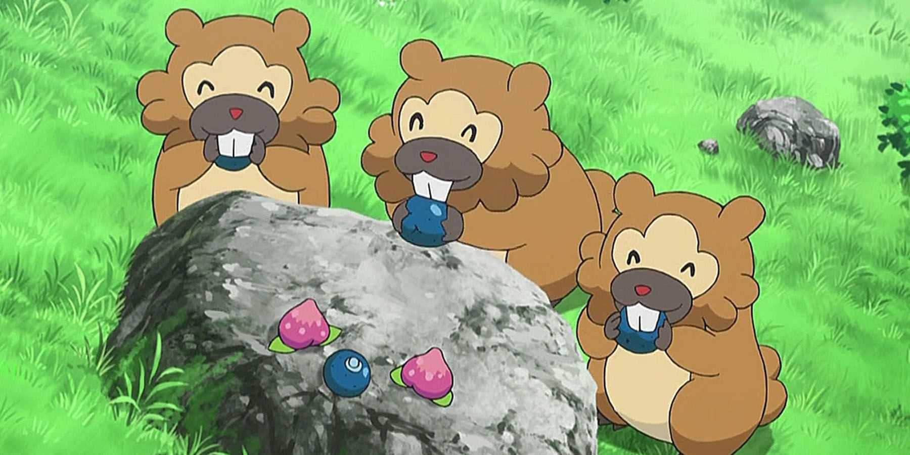 Pokemon Bidoof