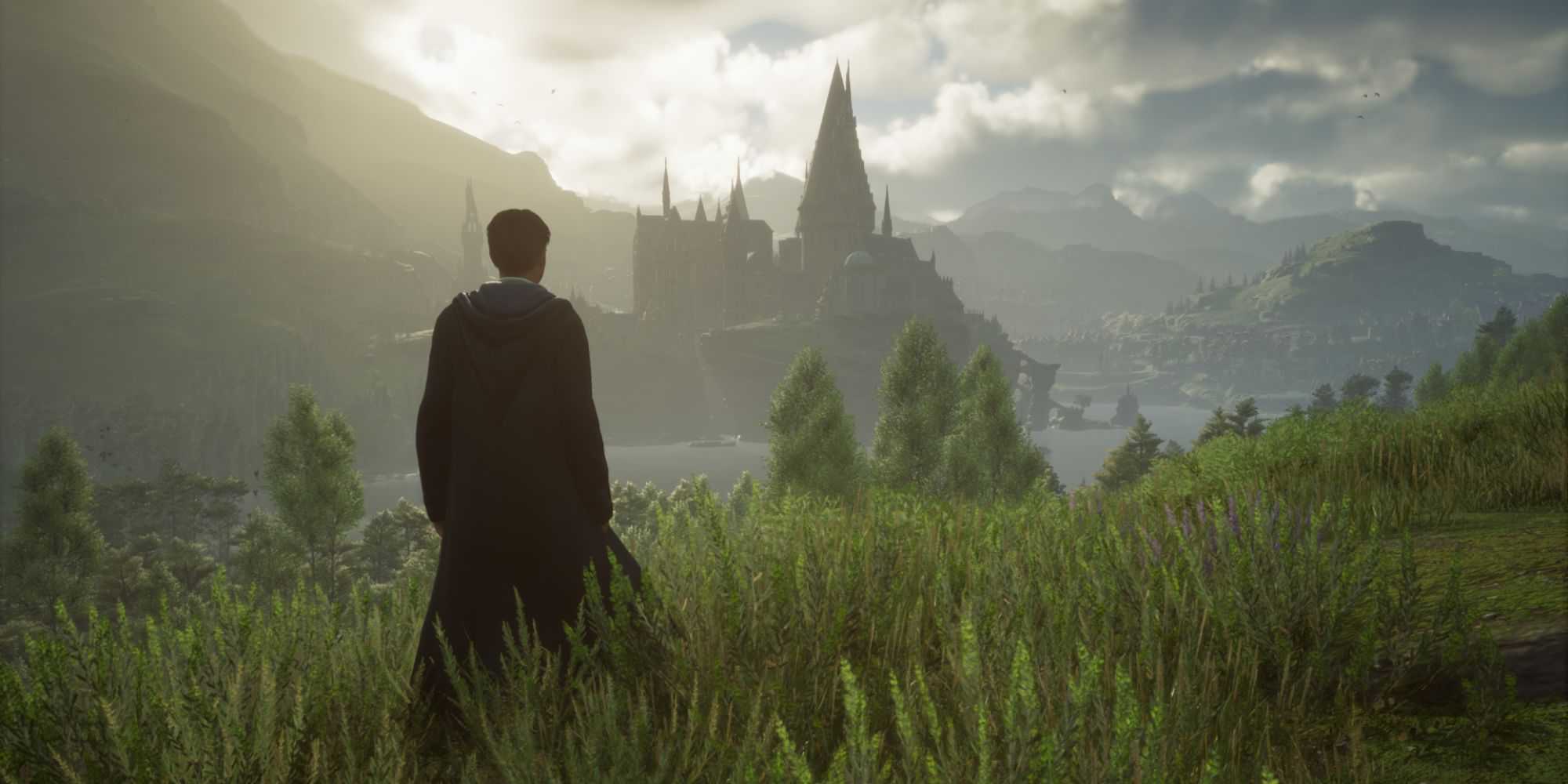 Um bruxo em pé no campo olhando para o Castelo de Hogwarts durante a primavera em Hogwarts Legacy