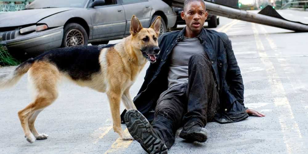 Eu_Am_Legend_Will_Smith_Dog