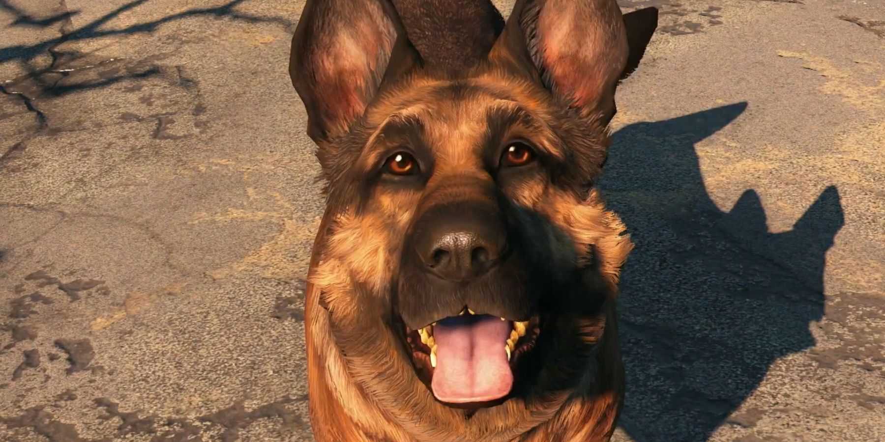 fallout-4-talking-dogs-glitch