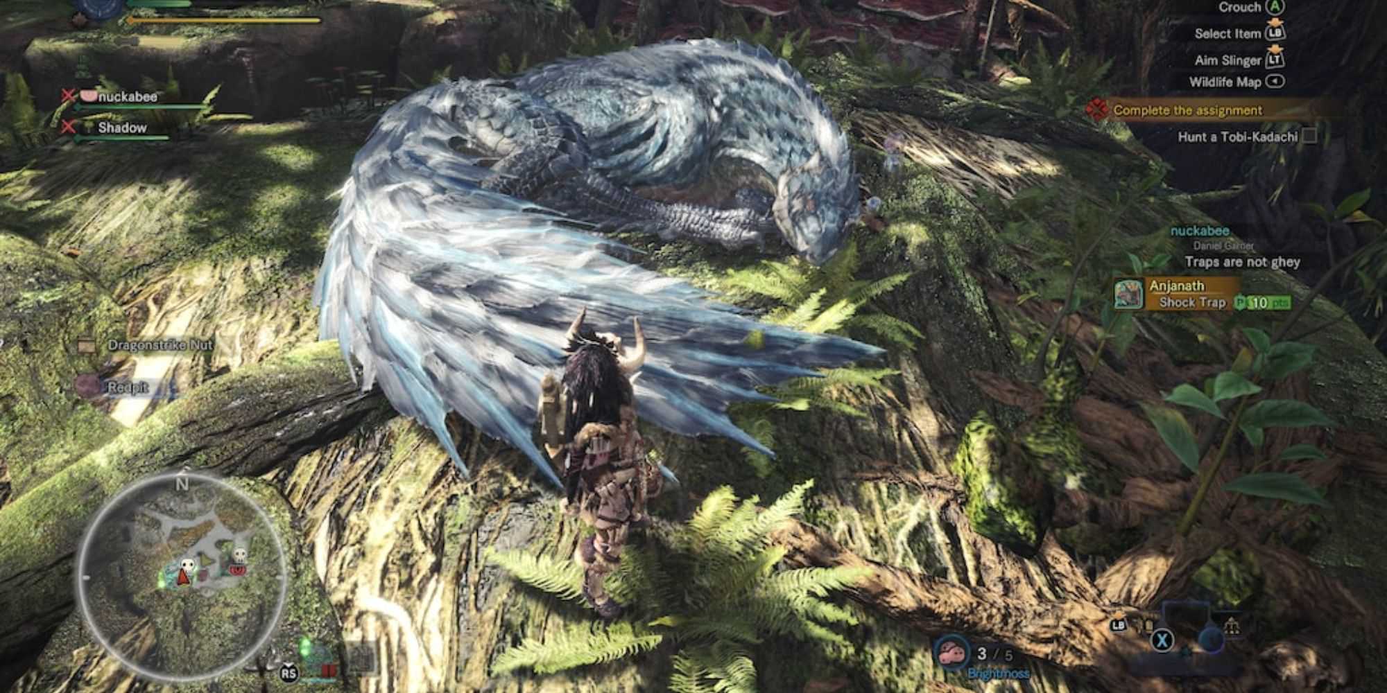 Um caçador observando Tobi-Kadachi dormir em uma árvore em Monster Hunter World