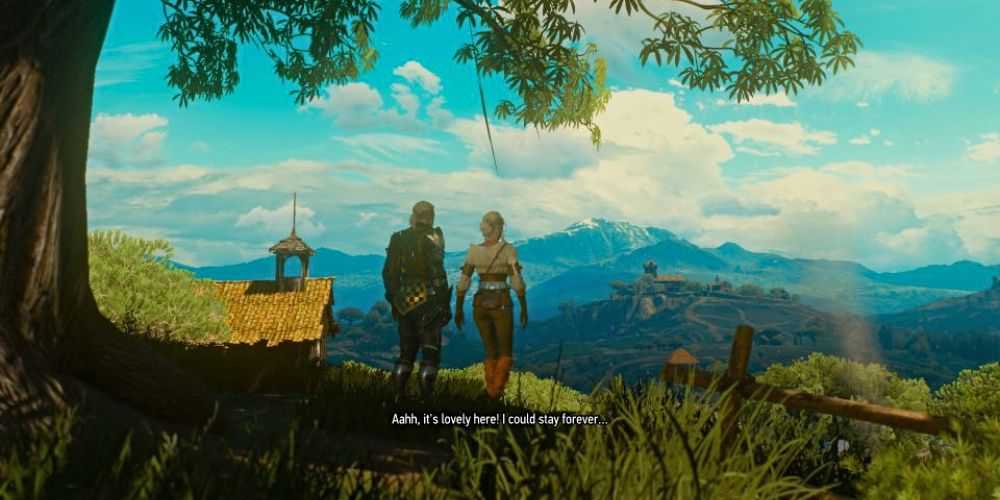 The Witcher 3 Ciri and Gerald