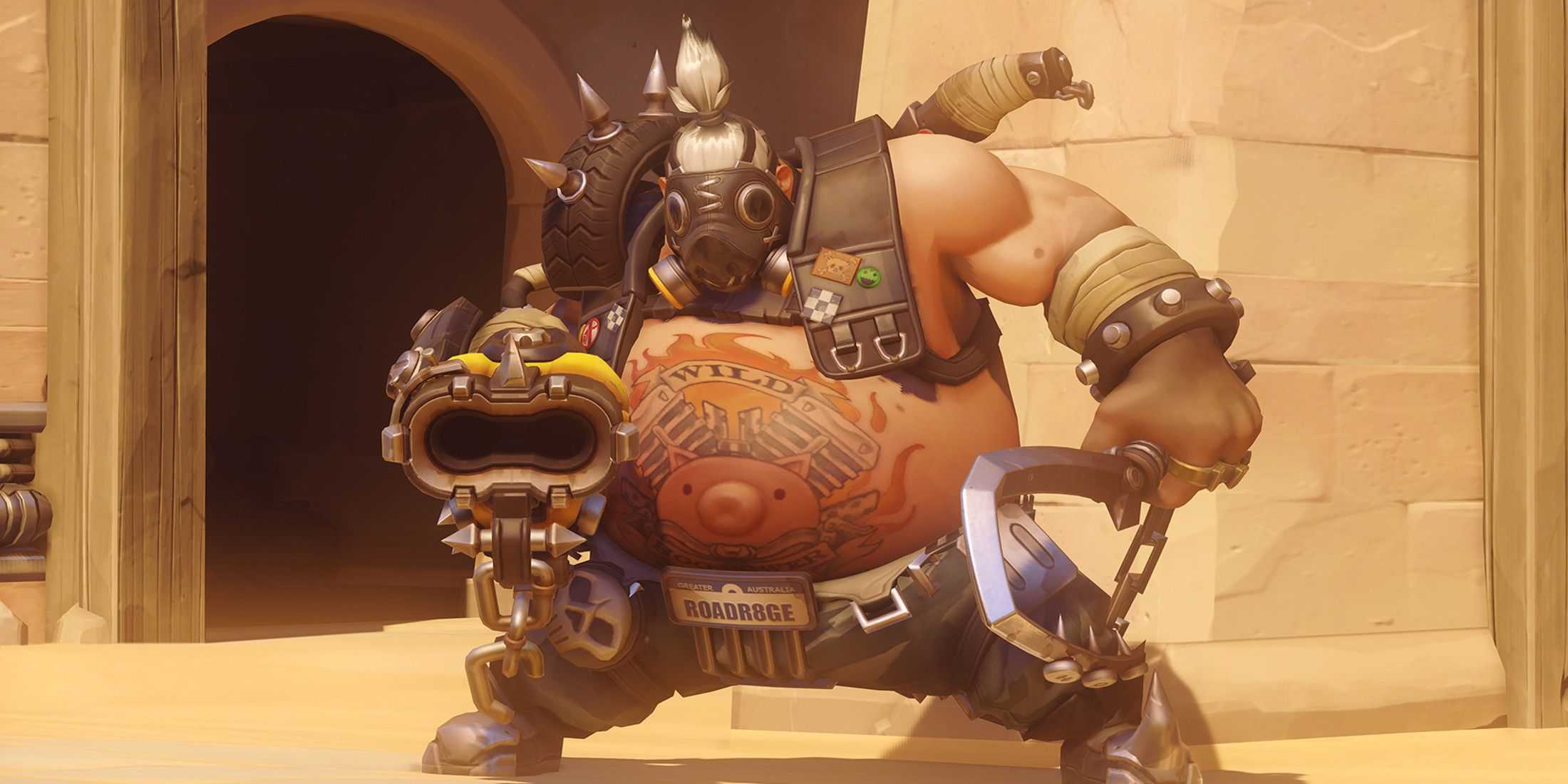 roadhog-skin-concept-big-the-cat