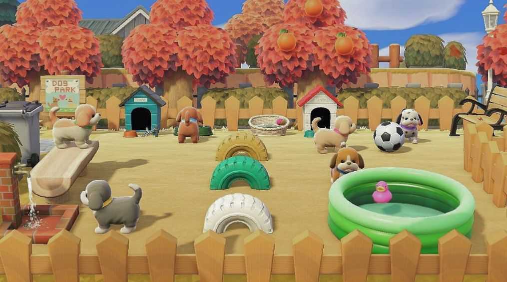 Animal Crossing Dog Park