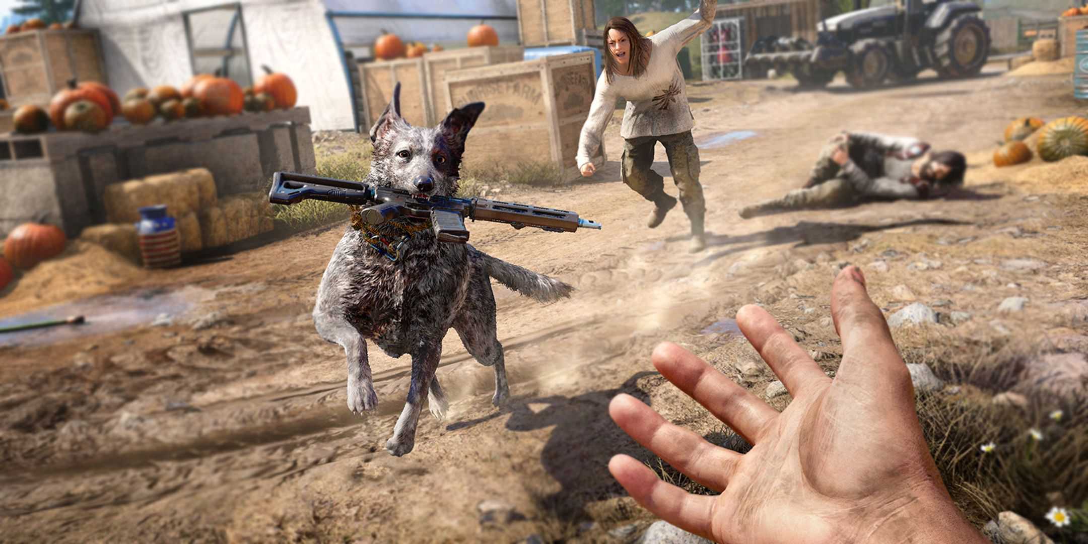 Dog grabbing a gun for the player in Far Cry 5