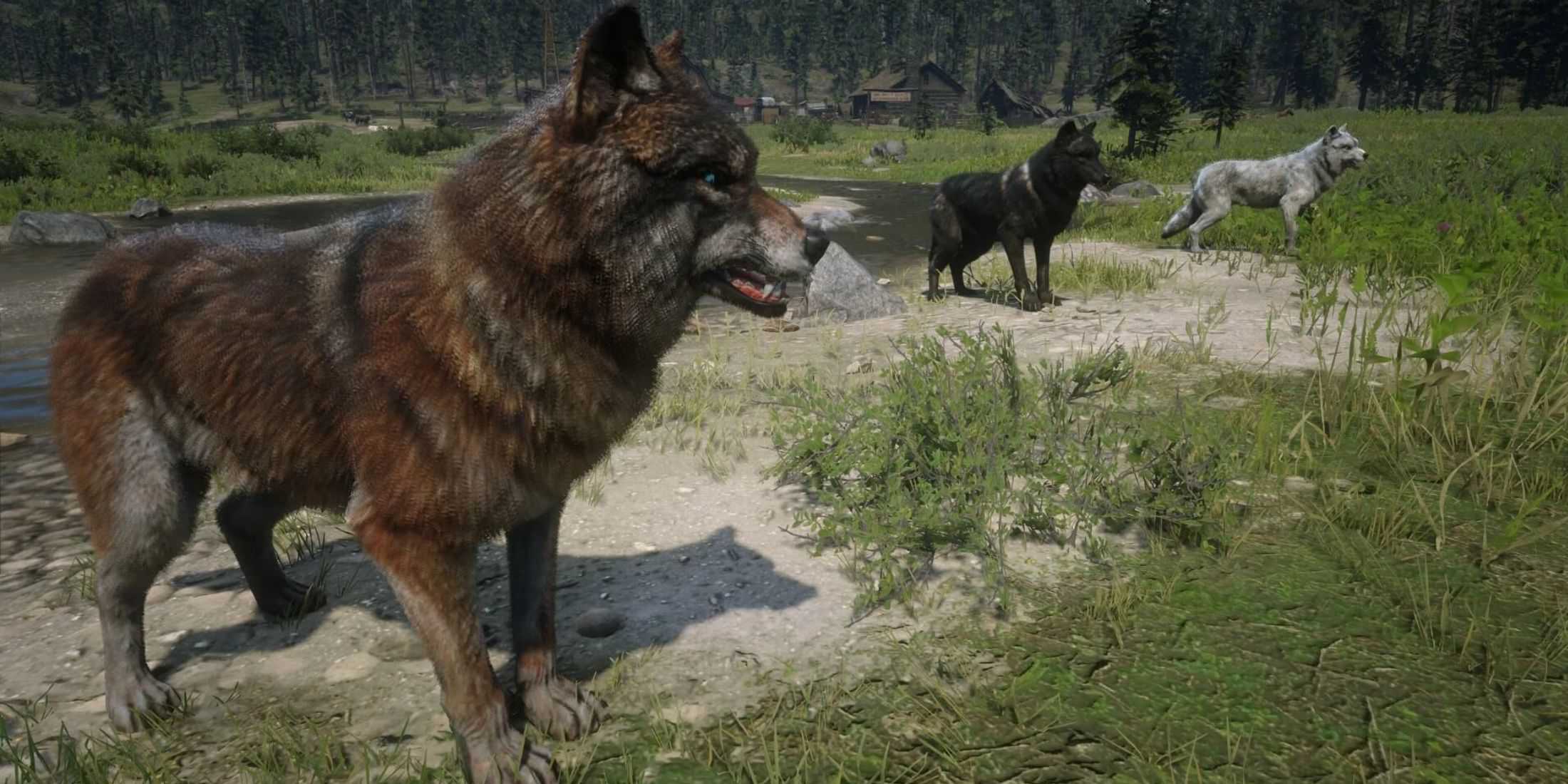 red-dead-redemption-2-wolves-playing-rare-animation-detail