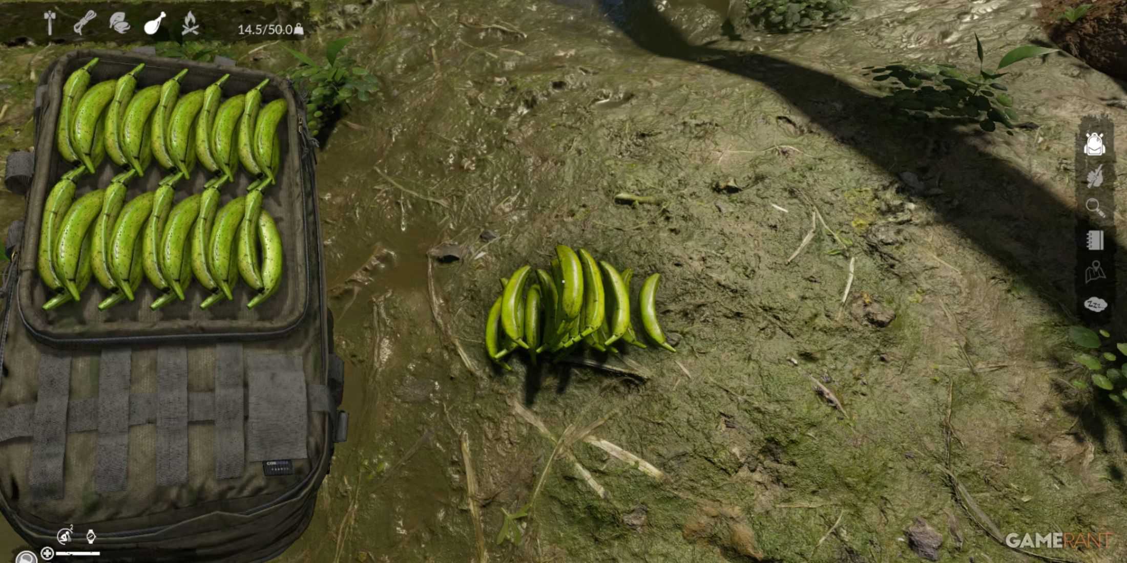 collection of bananas stacked neatly in a backpack, providing carbohydrates in Green Hell