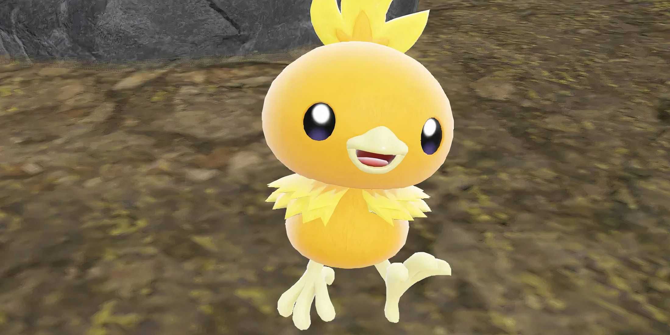 pokemon-torchic-realistic-animation