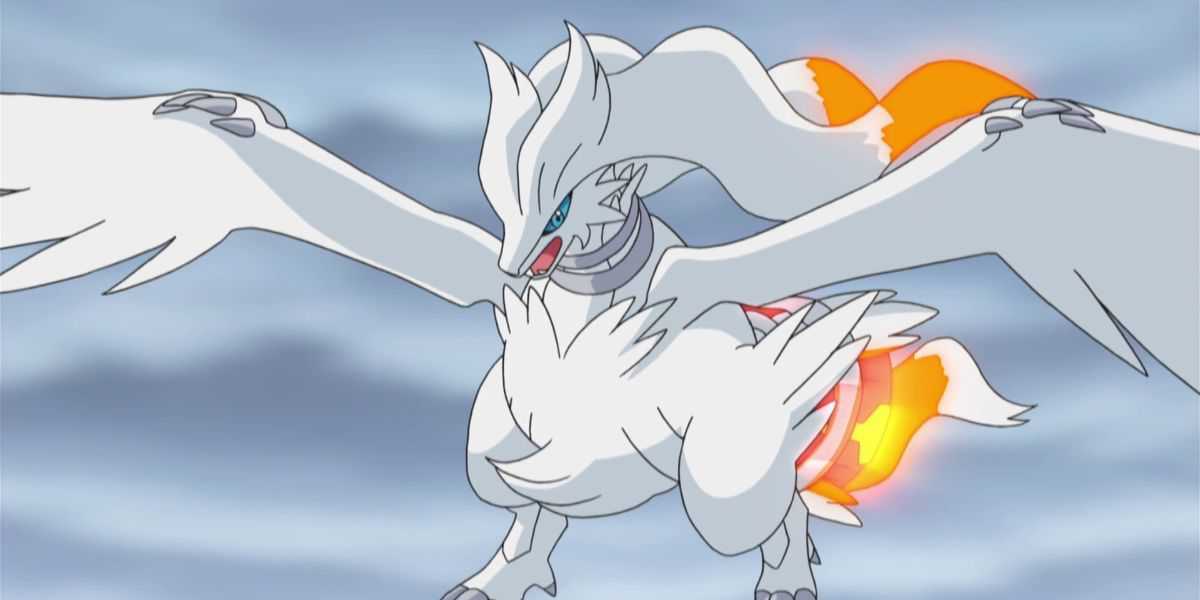 Reshiram In The Pokemon Anime