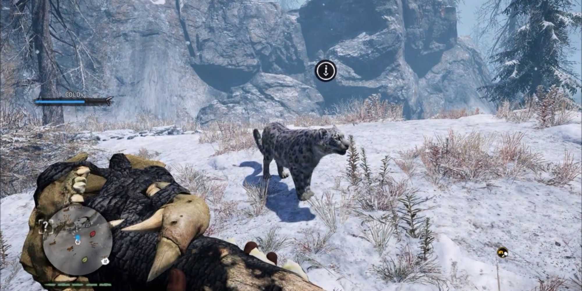 leopard in far cry primal