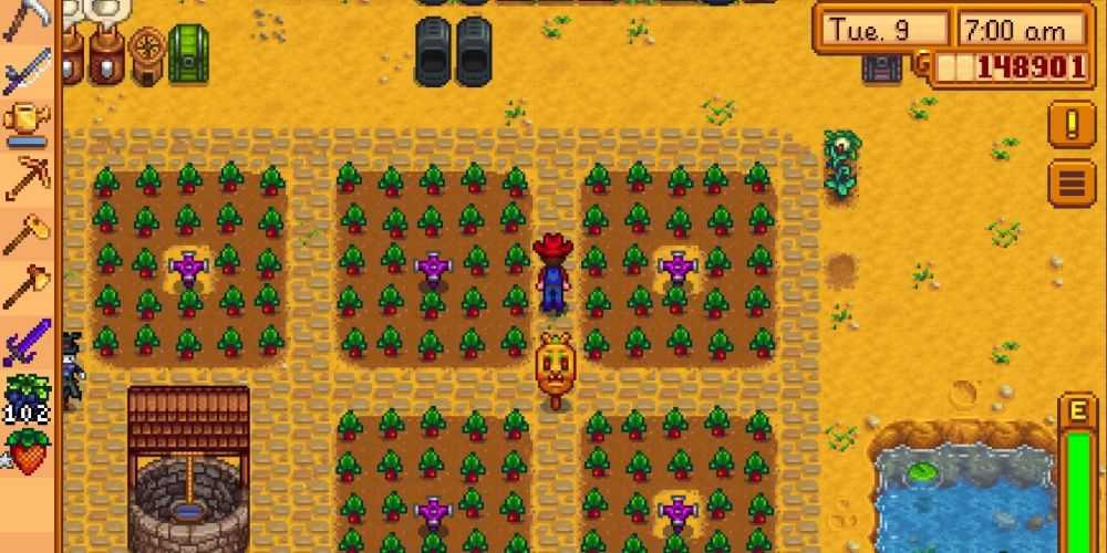 Stardew Valley Rhubarb Farm