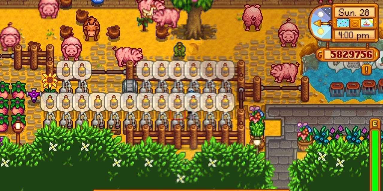 Stardew Valley Multiple Machine Truffle Farm