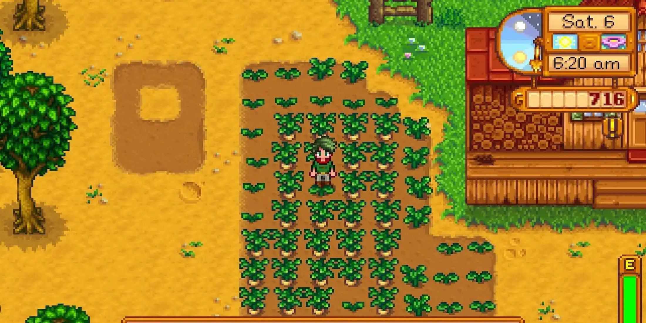 stardew valley farmer standing near crops