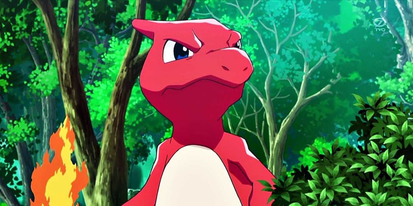 Pokemon Charmeleon In Forest