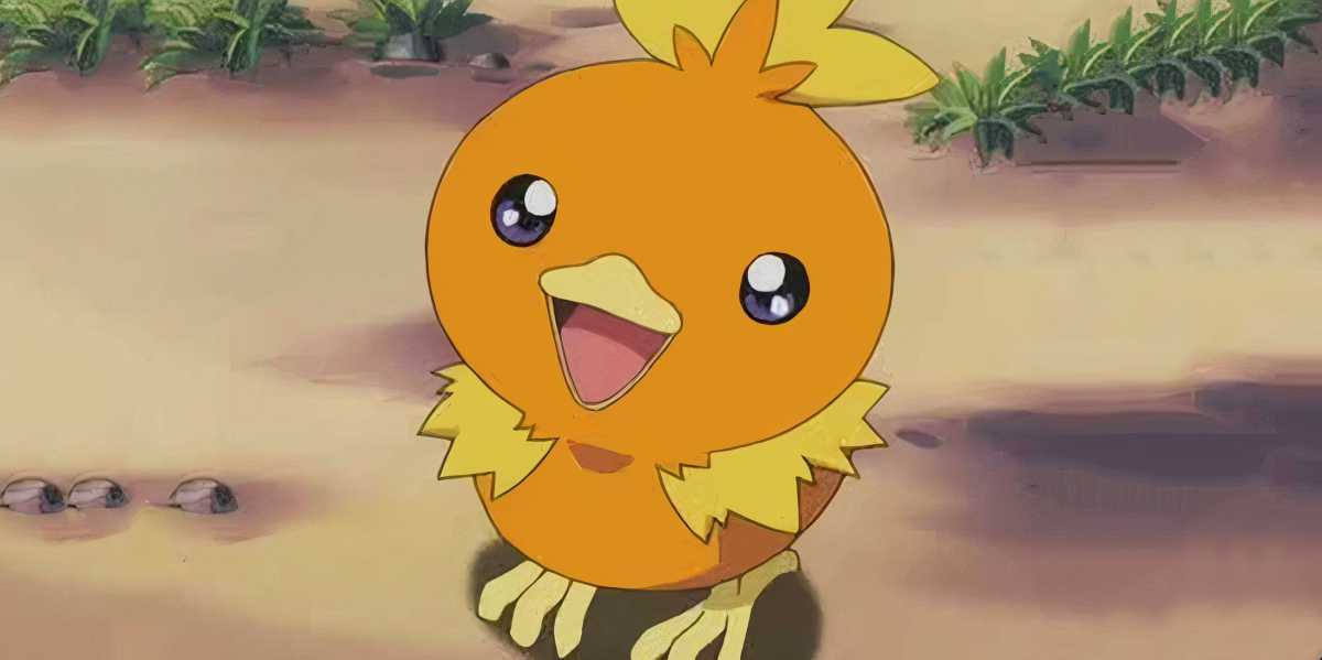 Fã Cria Variante Regional de Torchic como Dragão e Agita a Comunidade Pokemon