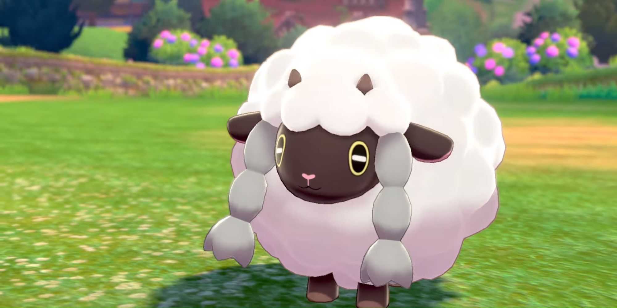 Wooloo, a sheep Pokemon with white wool and grey braids on a grassy field.