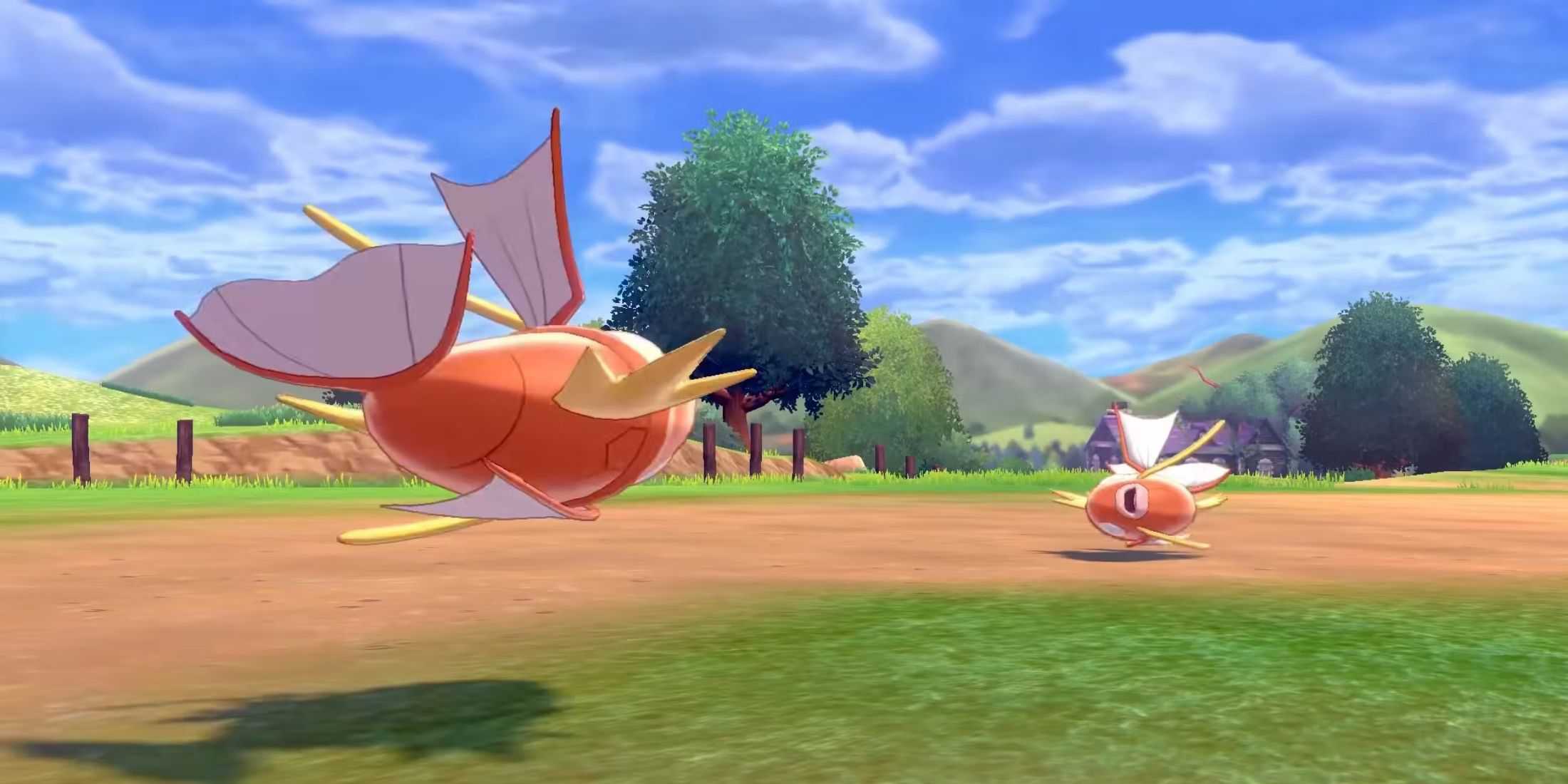 Pokemon - Two Magikarps fighting