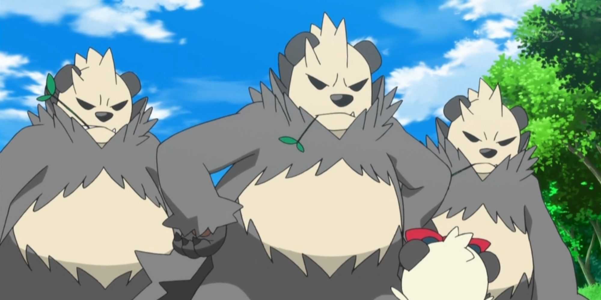 Foto de vários Pangoro do anime Pokemon.