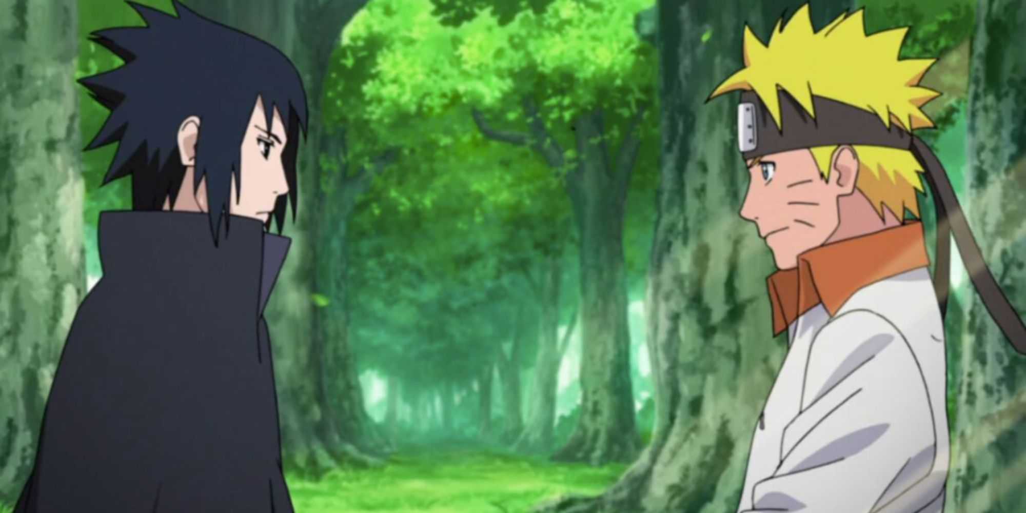 sasuke and naruto as adults