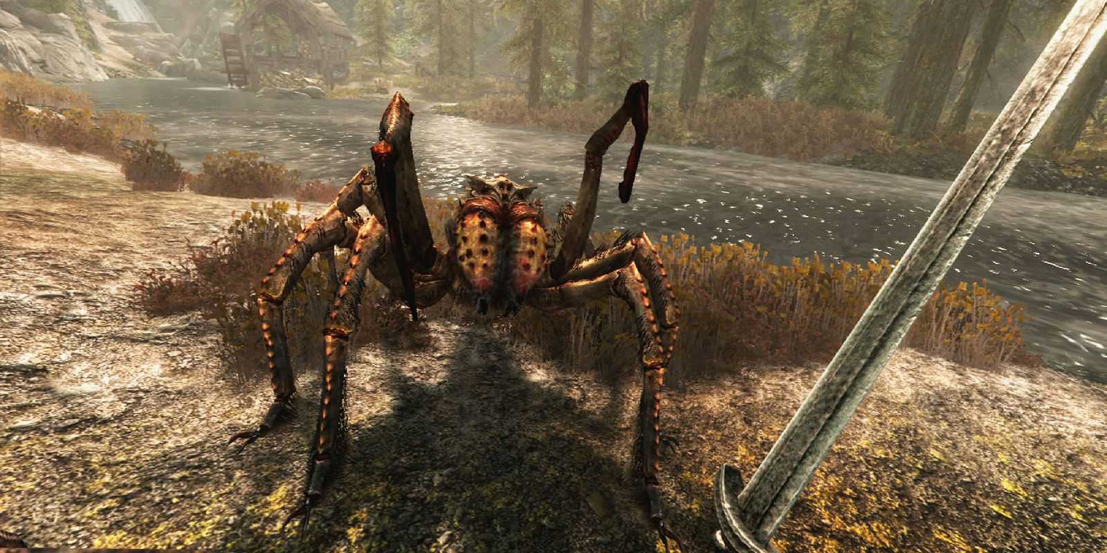 Aranha Skyrim