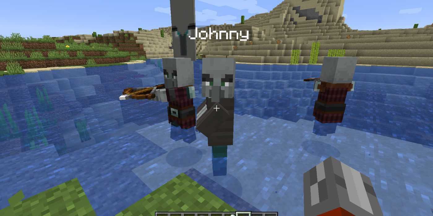 Minecraft Vindicator Named Johnny Easter Egg