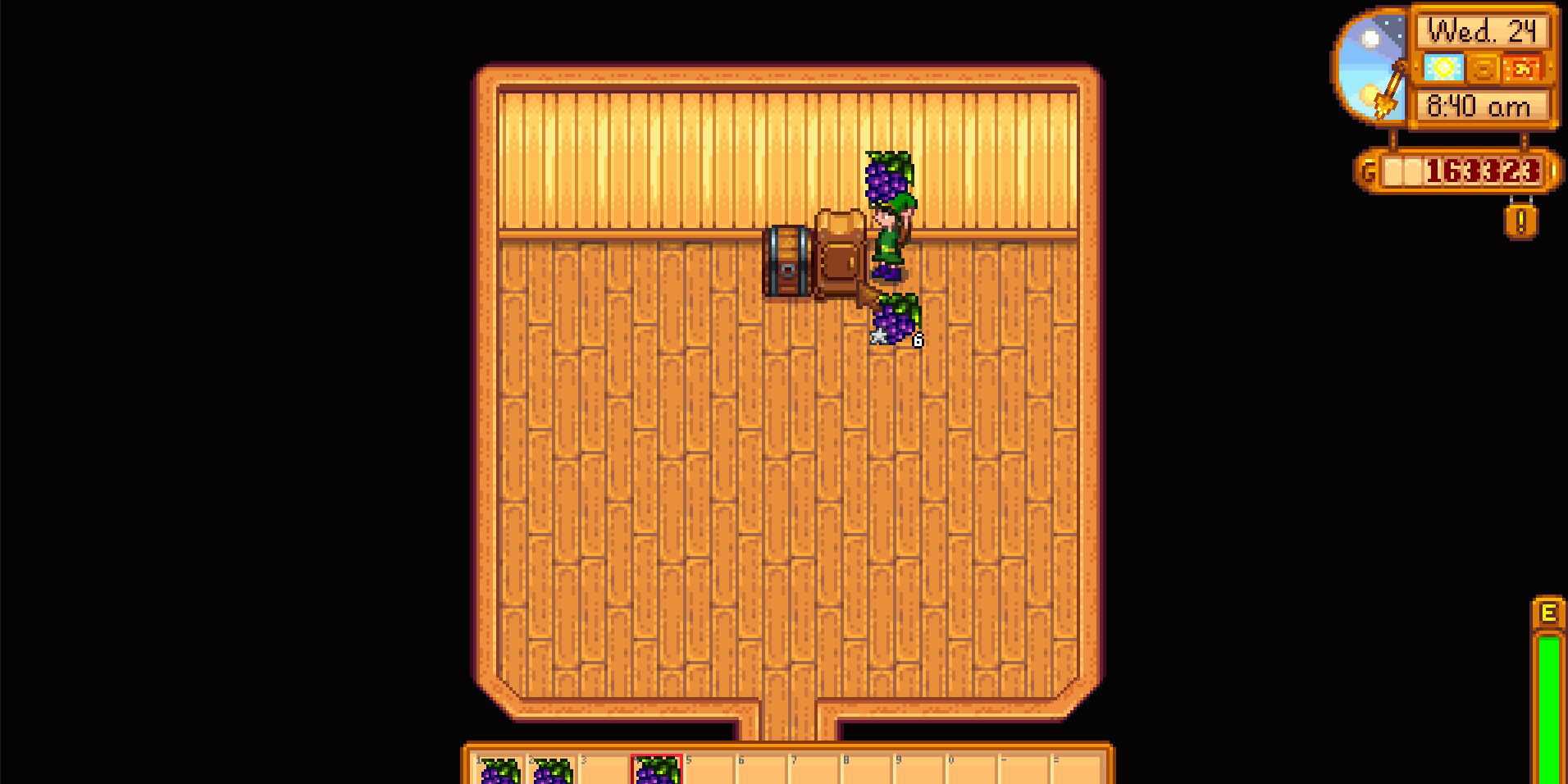 Image of a character placing grapes in a dehydrator in Stardew Valley