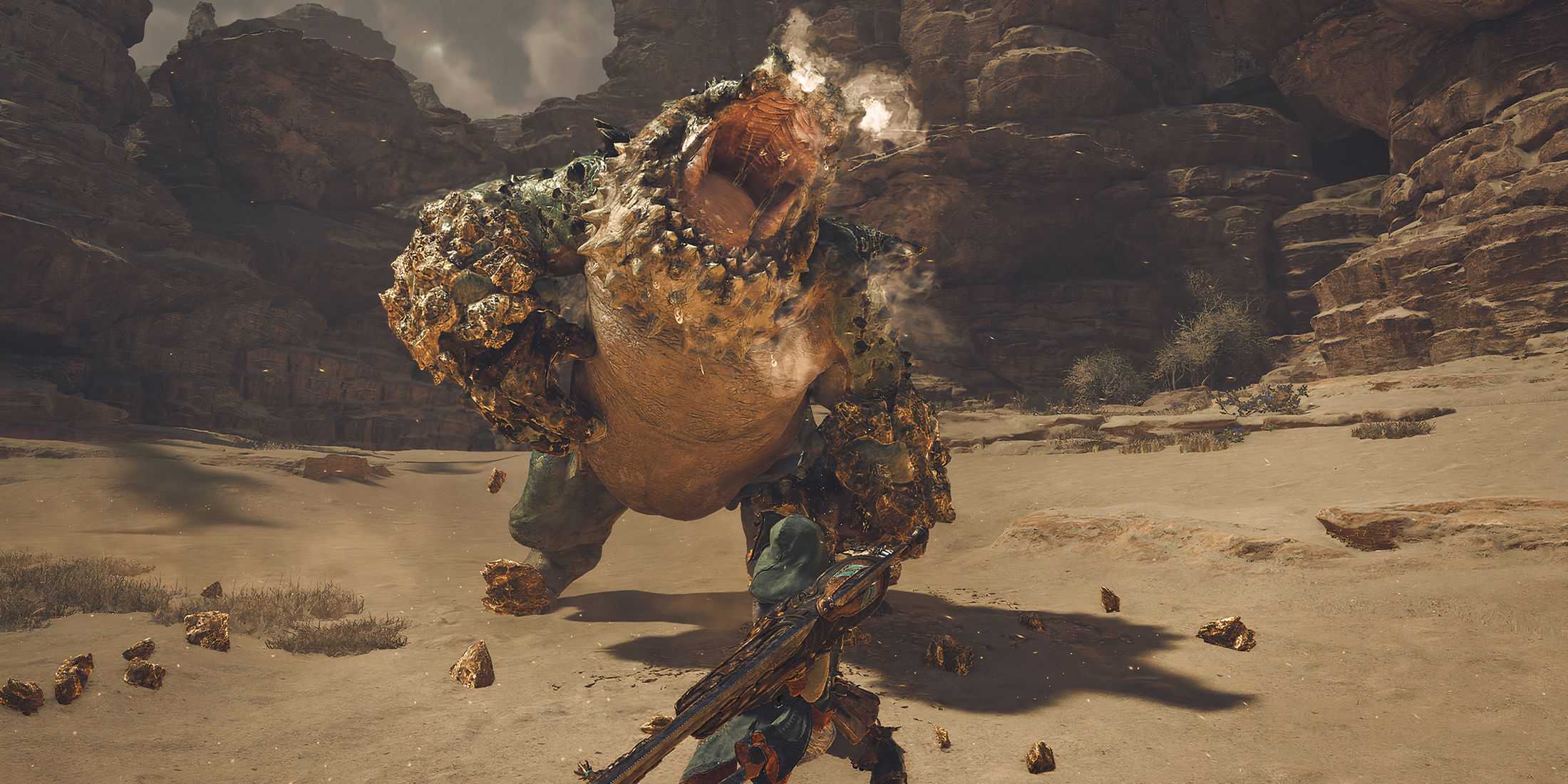 Player fighting a Chatacabra in Monster Hunter Wilds