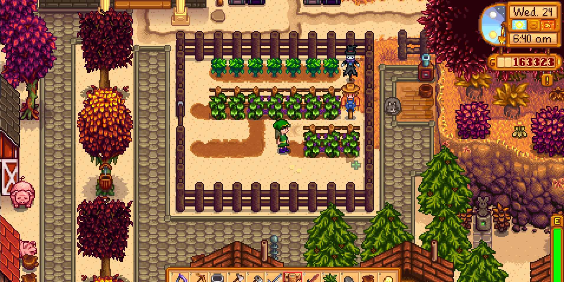 Imagem de algumas uvas na fazenda em Stardew Valley