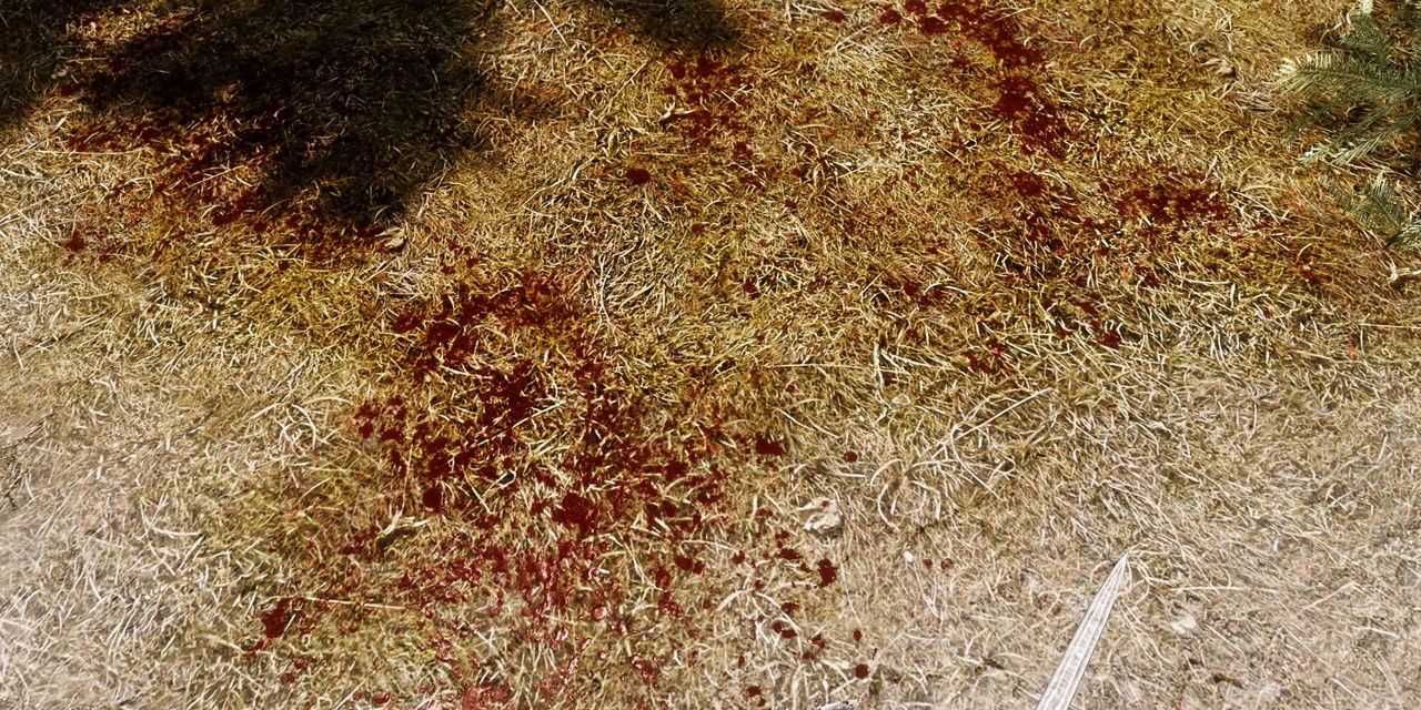 Texturas de sangue aprimoradas