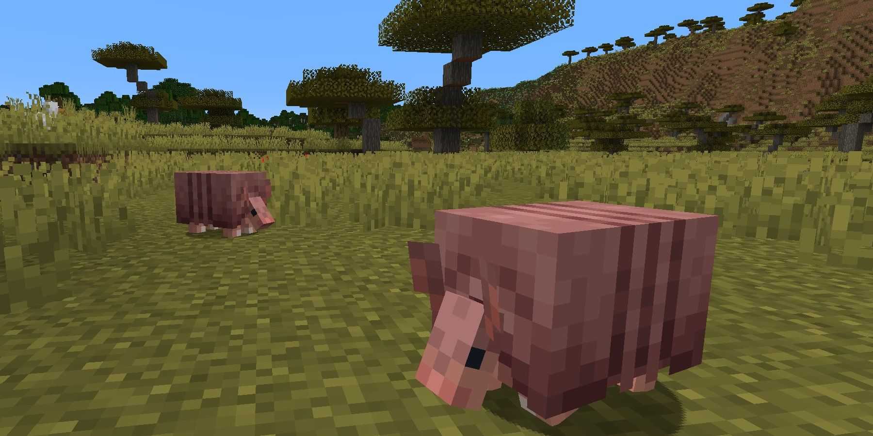 Minecraft Armadillo With Changed Eyes