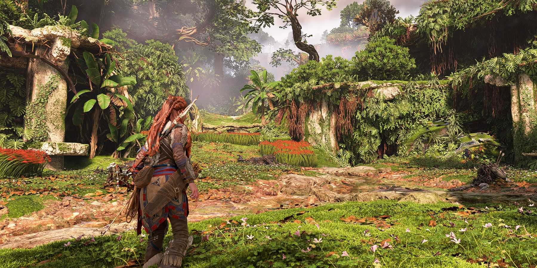 horizon forbidden west optimized settings for good performance