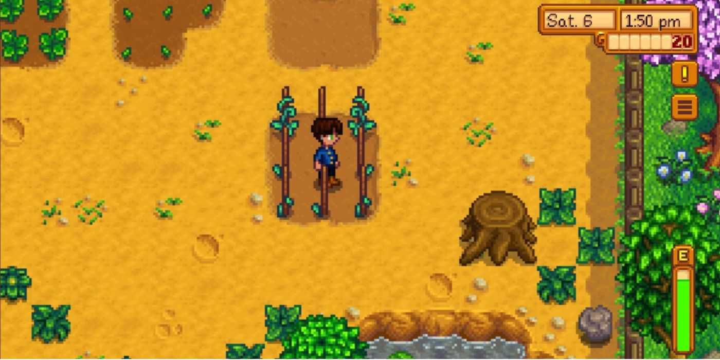 A screenshot of green beans growing in Stardew Valley.