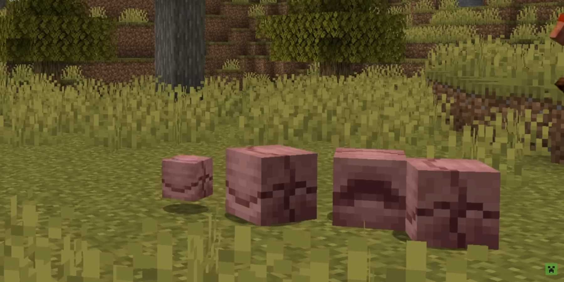 minecraft-hiding-armadillos