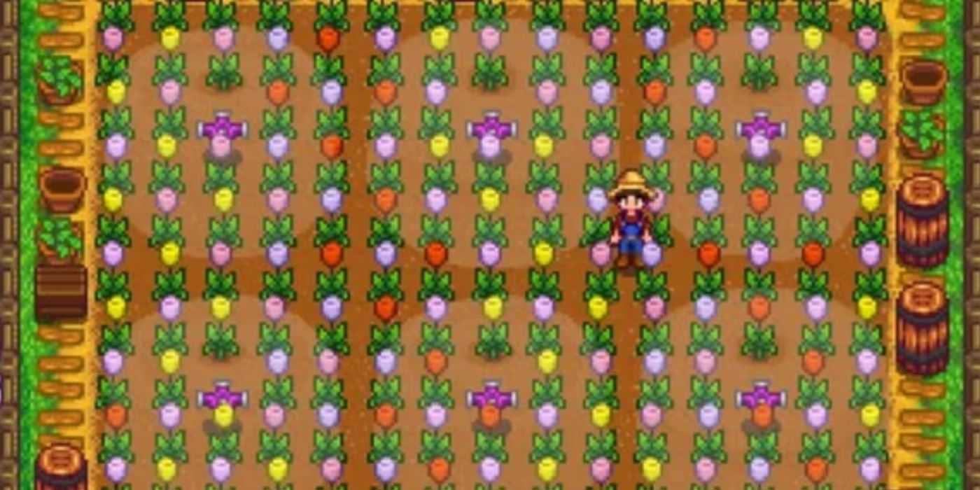 A screenshot of tulips growing in Stardew Valley.