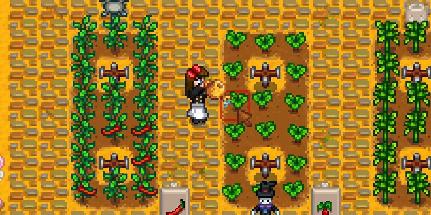 SV Crops