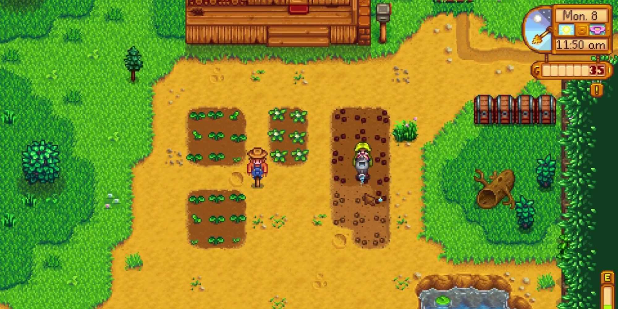 Stardew Valley Watering Crops