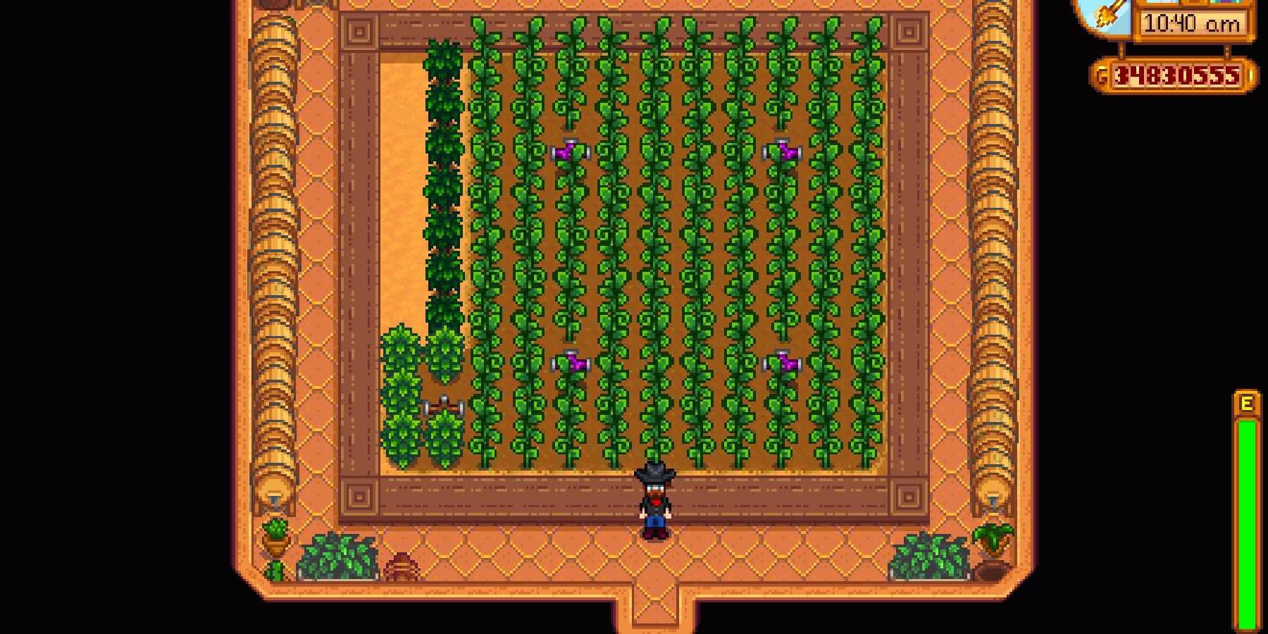 Culturas em estufa de Stardew Valley