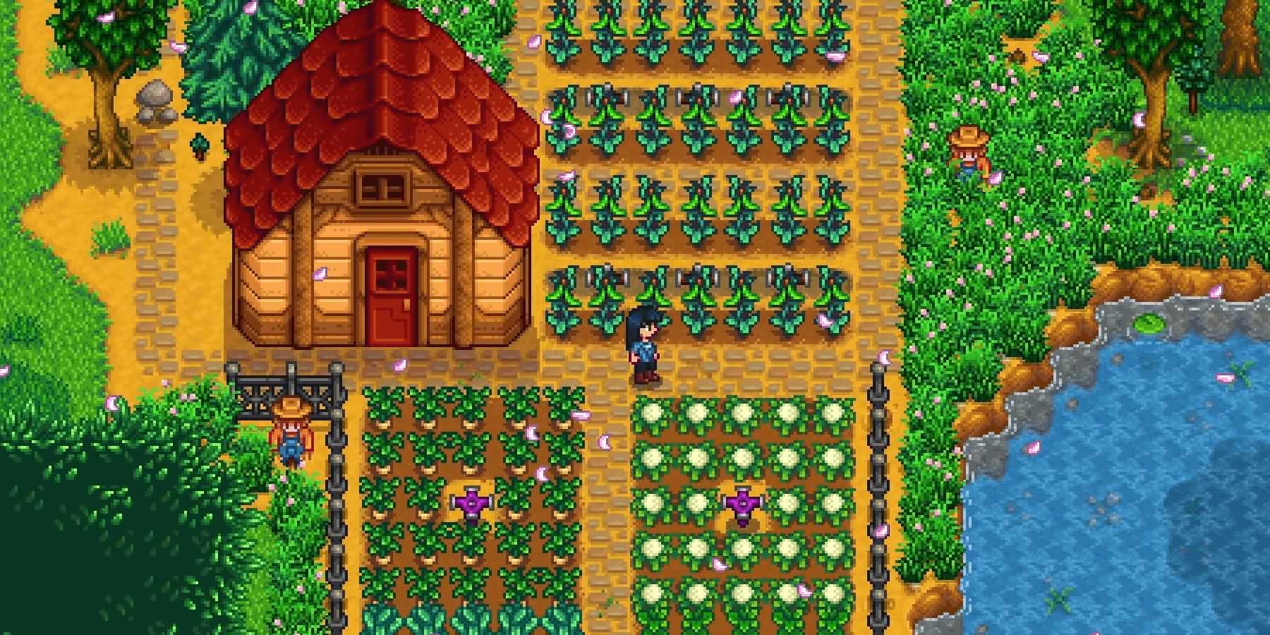 Stardew Valley farm with crops.