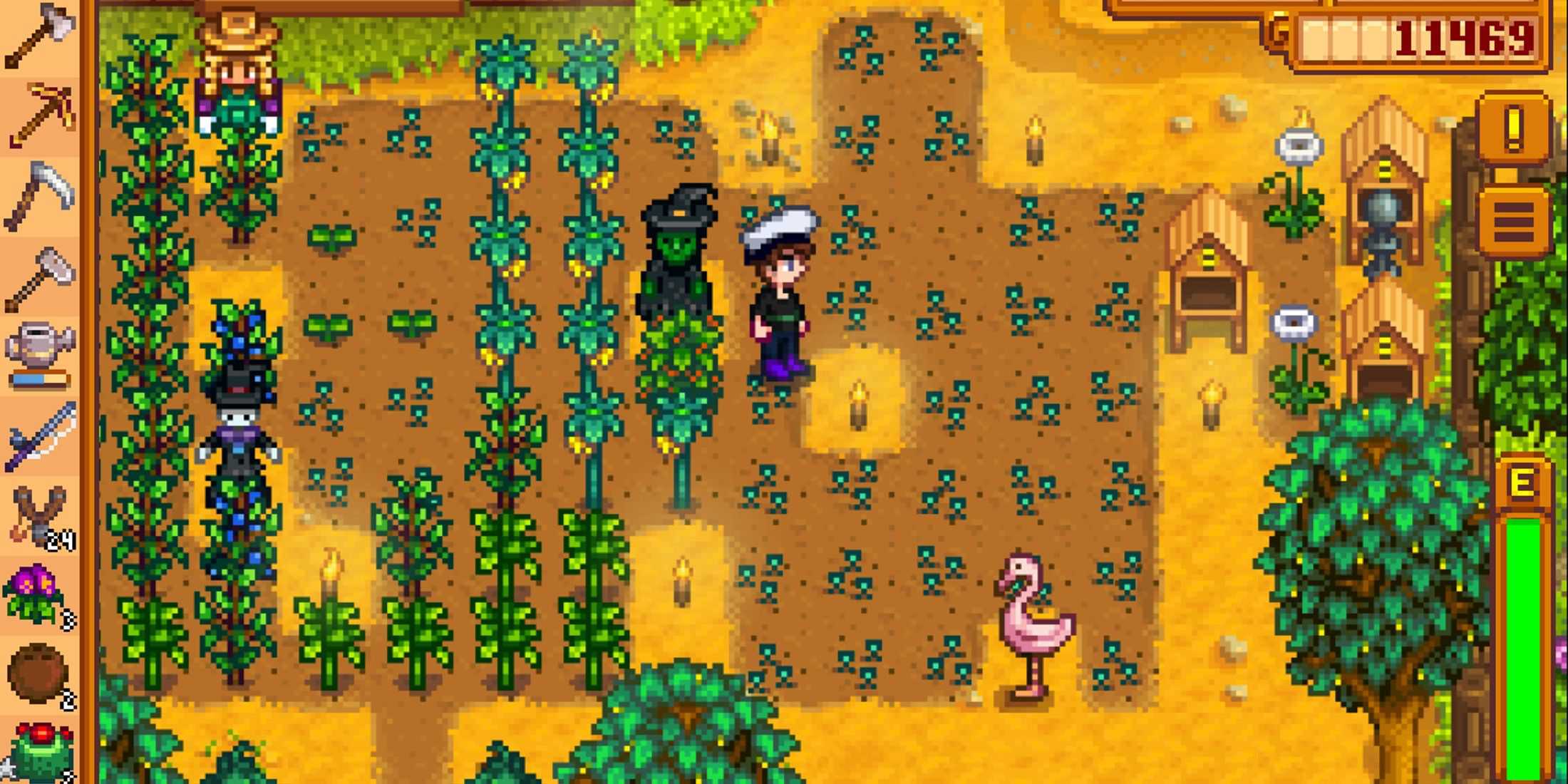 Stardew Valley starfruit crops