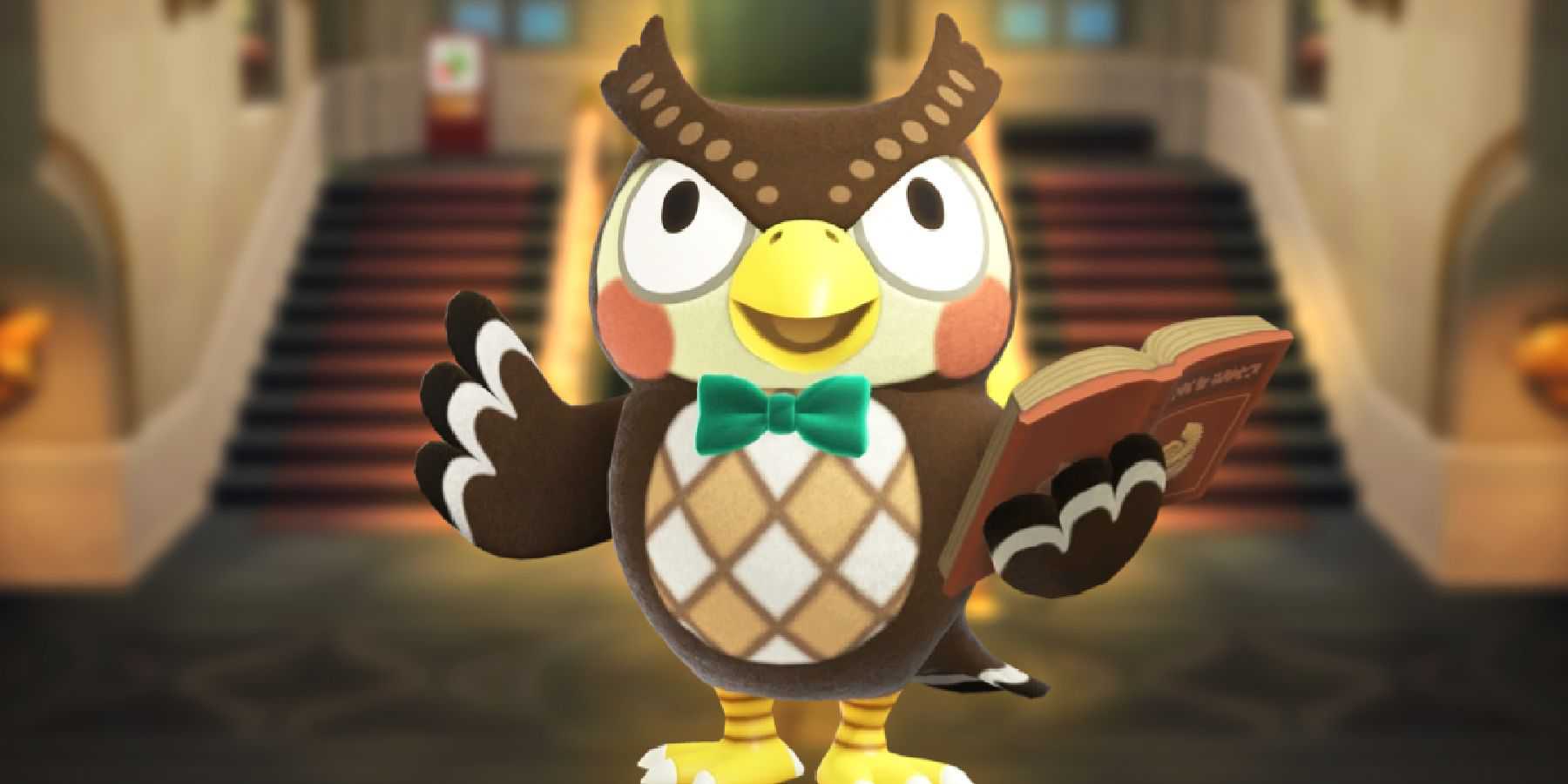 animal-crossing-museum-blathers