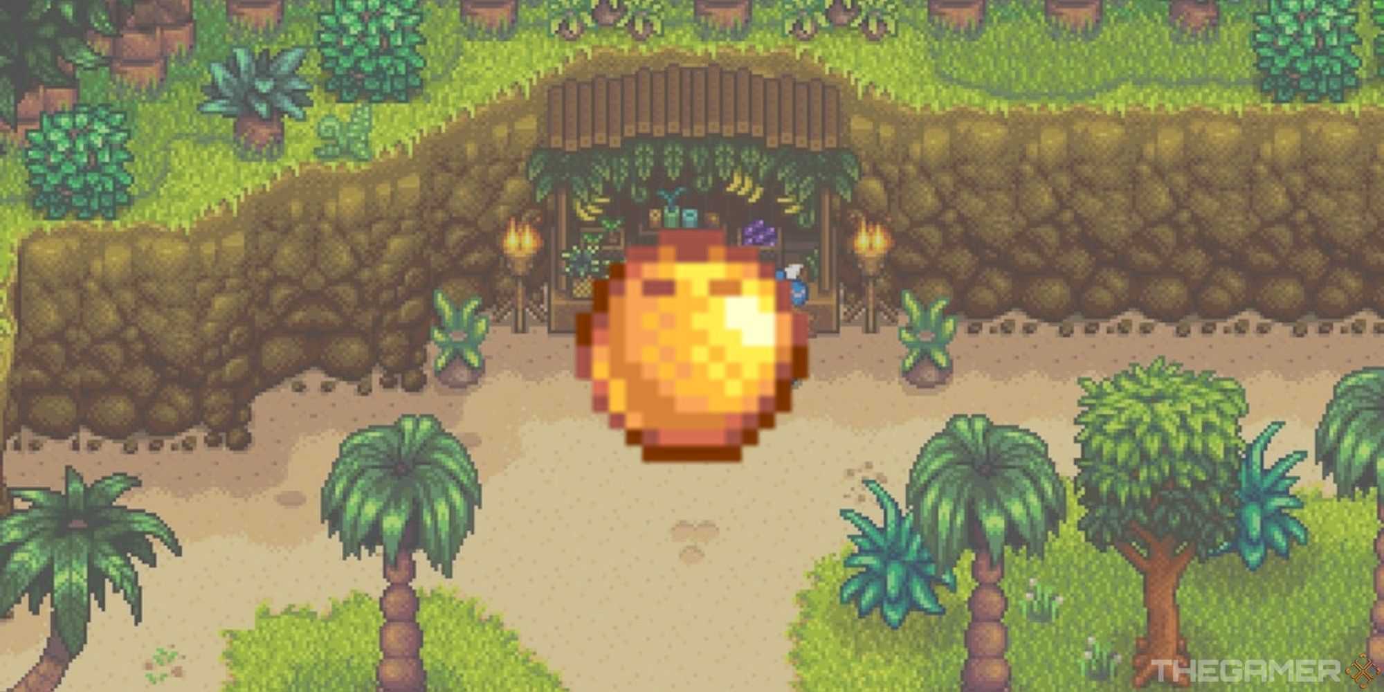 Cocos Dourados em Stardew Valley