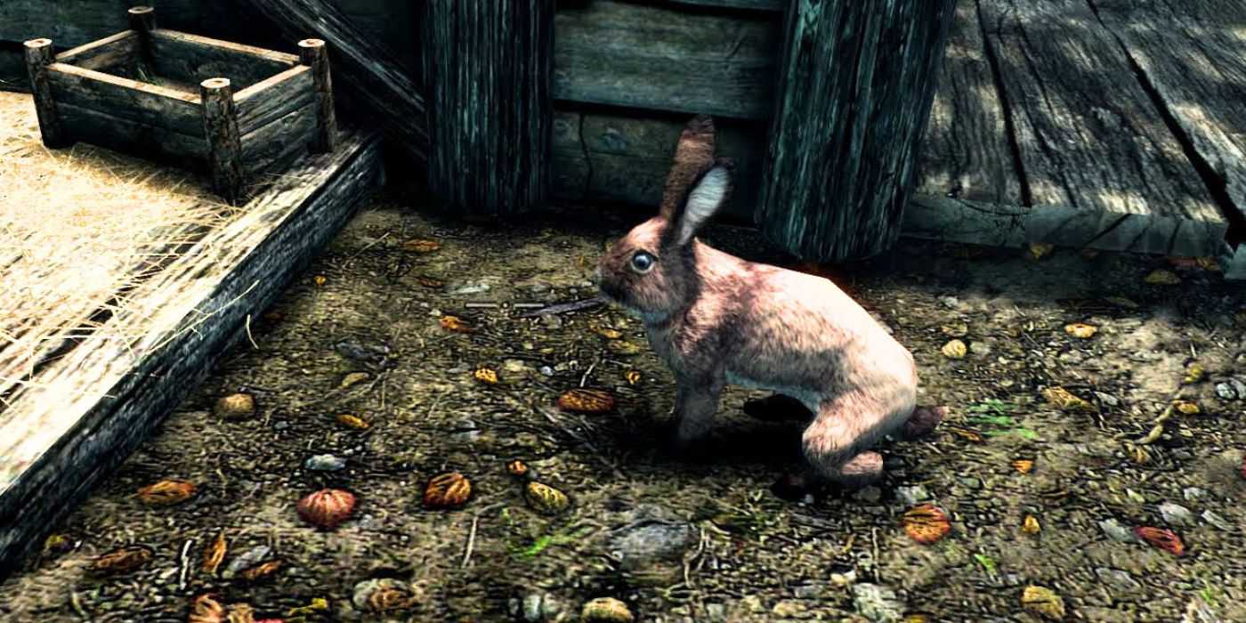 Skyrim Thistle Rabbit Pet