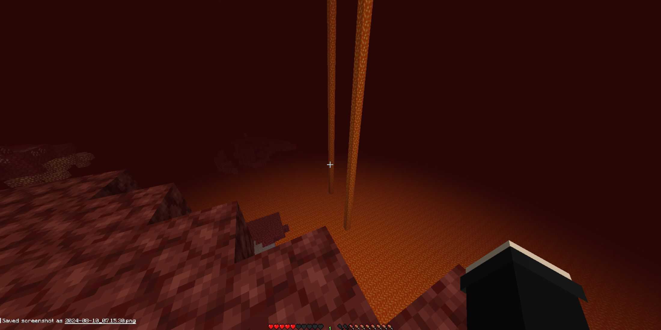 nether minecraft