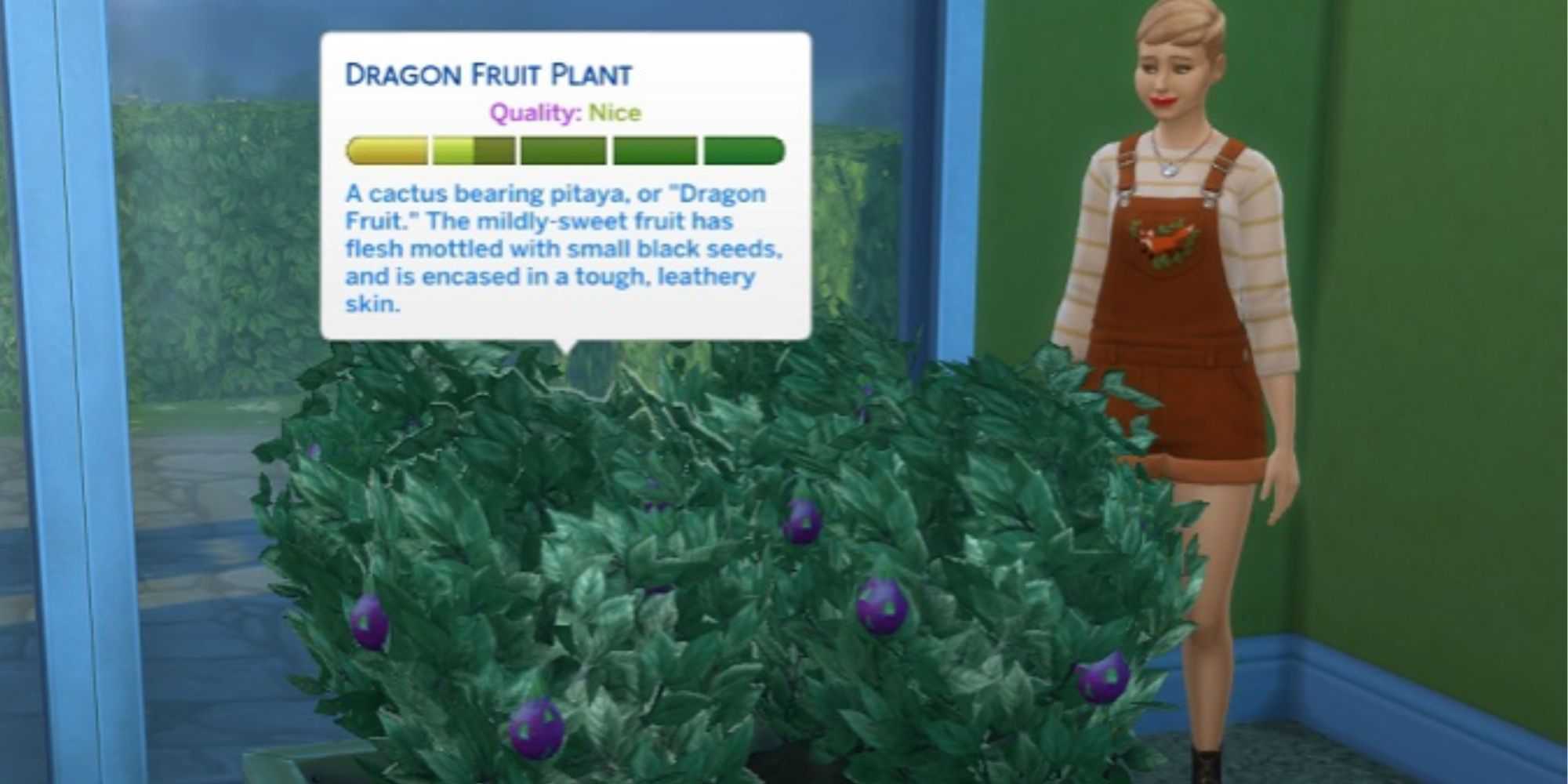 Planta de fruta do dragão no The Sims 4